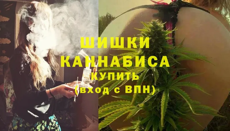 Каннабис SATIVA & INDICA  продажа наркотиков  Новоалександровск 